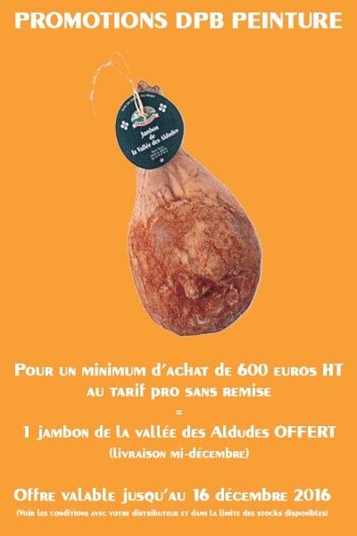 promotions-jambon-noel-decembre-dpb-peinture-joue-les-tours